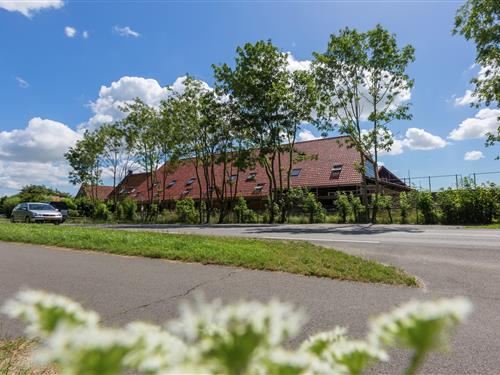 Holiday Home/Apartment - 4 persons -  - 4356ED - Oostkapelle