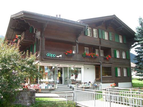 Sommerhus - 6 personer -  - Lenkstrasse - 3775 - Lenk