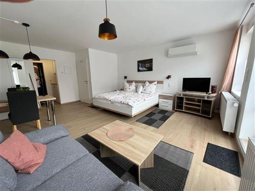 Ferienwohnung - 1 Person -  - Alf - 56859