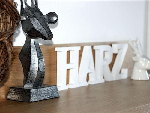 Ferieleilighet - 4 personer -  - Am Hahnenkleer Berg - 38644 - Hahnenklee