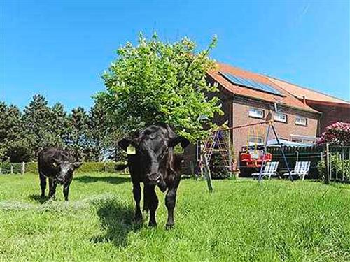 Holiday Home/Apartment - 5 persons -  - Ewigsweg - 26556 - Westerholt