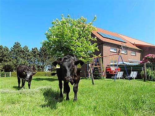 Bauernhof - 5 Personen -  - Ewigsweg - 26556 - Westerholt