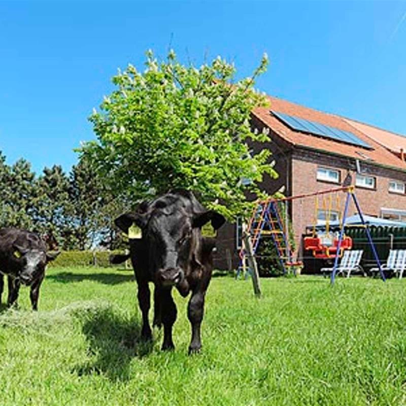 Bondegård - 5 personer -  - Ewigsweg - 26556 - Westerholt