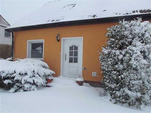 Ferienhaus - 3 Personen -  - Starrvitz  Nr. - 18556 - Dranske / Starrvitz