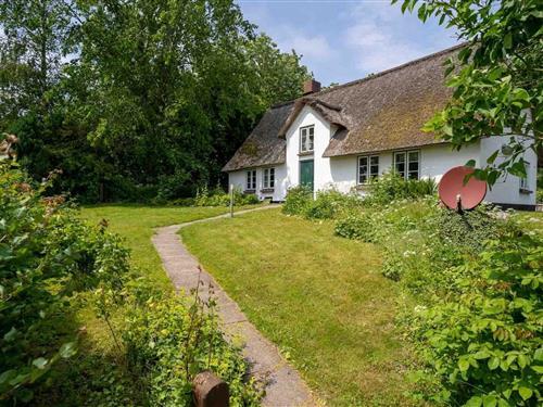 Herskapshus / Villa - 6 personer -  - 25881 - Westerhever