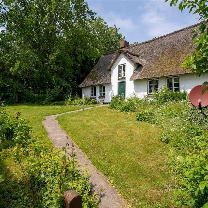 Herskabsvilla - 6 personer -  - 25881 - Westerhever