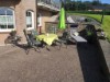 Bilde 5