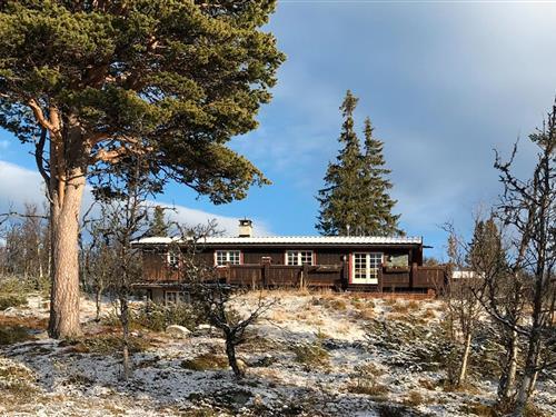 Fritidshus - 10 personer -  - Rødungsvegen - 3544 - Tunhovd