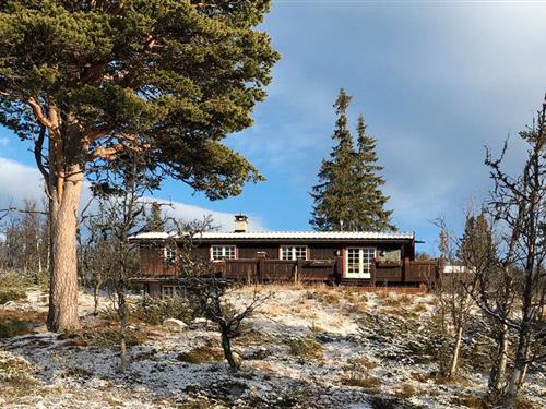 Holiday home - 10 persons -  - Rødungsvegen - Tunhovd/Uvdal - 3544 - Tunhovd