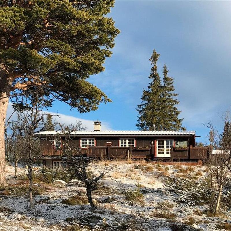 Sommerhus - 10 personer -  - Rødungsvegen - Tunhovd/Uvdal - 3544 - Tunhovd