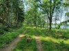 Bilde 20
