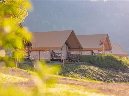 Glamping telt - 4 personer -  - 9640 - Kötschach-Mauthen