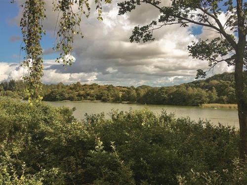 Sommerhus - 6 personer -  - Rørbækvej - Rørbæk Sø - 7361 - Ejstrupholm