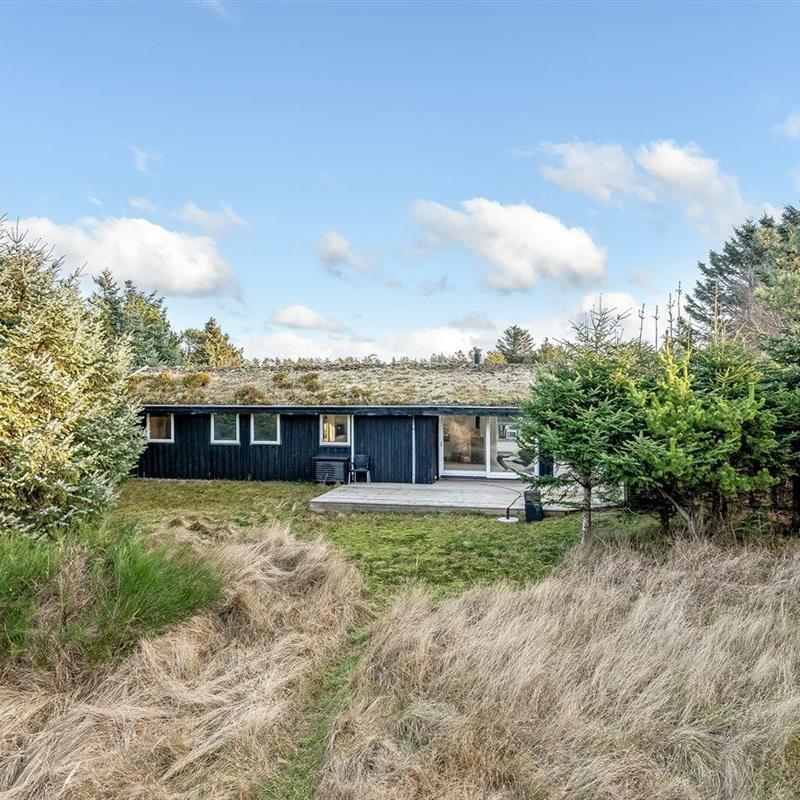 Ferienhaus - 6 Personen -  - Plantagevej - 9492 - Blokhus