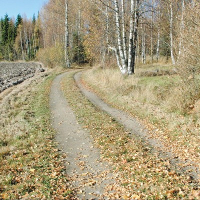 Billede 4