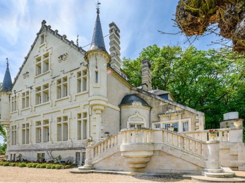 Holiday home - 14 persons -  - Château Picol - 86140 - Lencloître