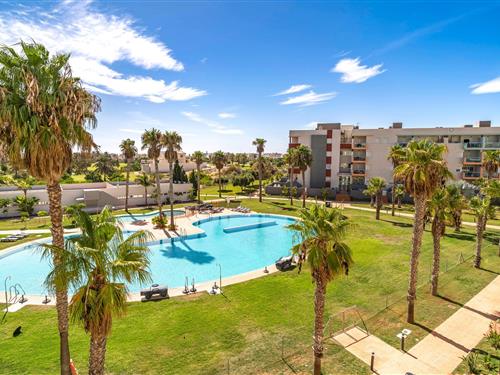 Feriehus / leilighet - 5 personer -  - Palm Beach Almerimar - Almeria - 04711 - Almerimar