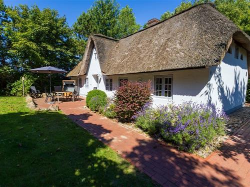 Sommerhus - 6 personer -  - Böhler Landstraße - 25826 - St Peter-Ording