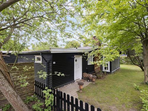 Sommerhus - 6 personer -  - Gl Hørhavevej - 3100 - Hornbæk