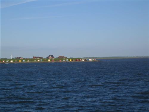 Semesterlägenhet - 2 personer -  - Halligweg - 25899 - Dagebüll