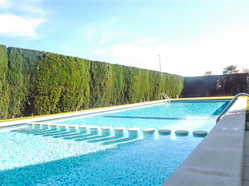 Ferielejlighed - 4 personer -  - Avenida de la Mediterránea - 46712 - Piles