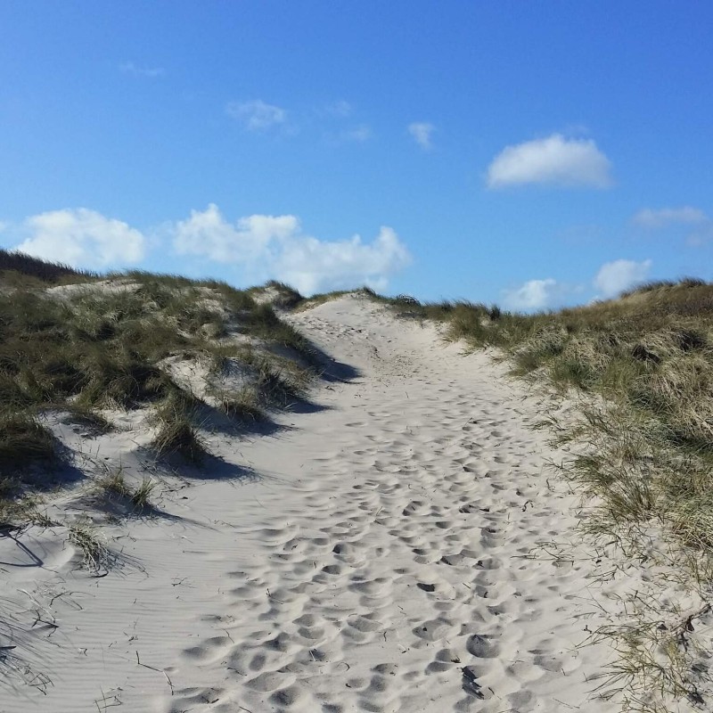 Sommerhus - 8 personer -  - Lodbergsvej 227, - Søndervig - 6950 - Ringkøbing