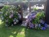 Bild 17 - Terrass