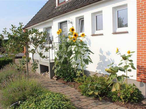 Ferieleilighet - 4 personer -  - 23769 - Fehmarn Ot Landkirchen