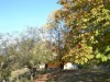 Bild 29