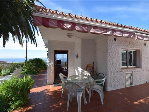Holiday home - 4 persons -  - 38358 - Tacoronte