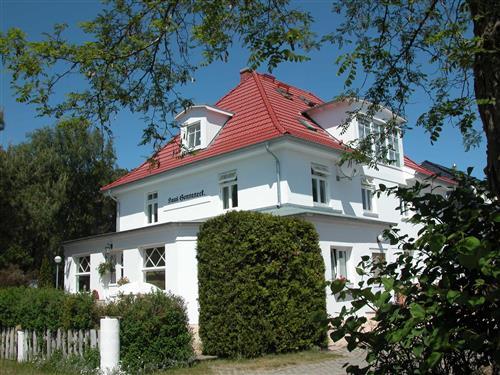 Feriehus / leilighet - 3 personer -  - Waldstrasse - 18347 - Dierhagen