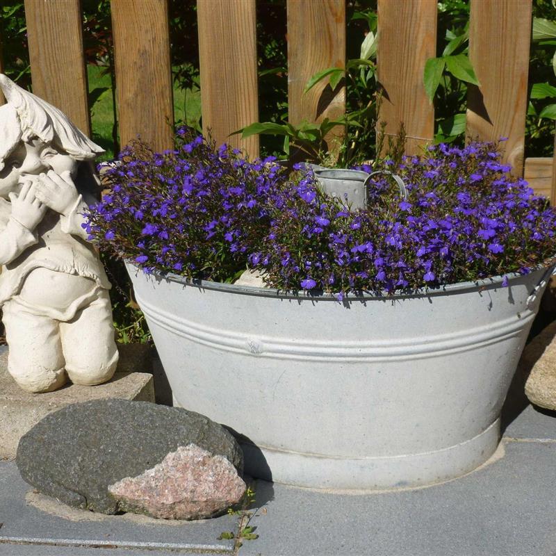 Ferielejlighed - 3 personer -  - Henningsoll - 23730 - Neustadt In Holstein