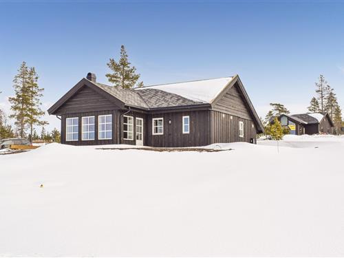 Holiday home - 5 persons -  - Badstulivegen - Lygna - 2770 - Jaren