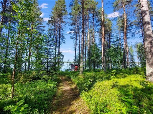 Sommerhus - 6 personer -  - Ranua - 97700