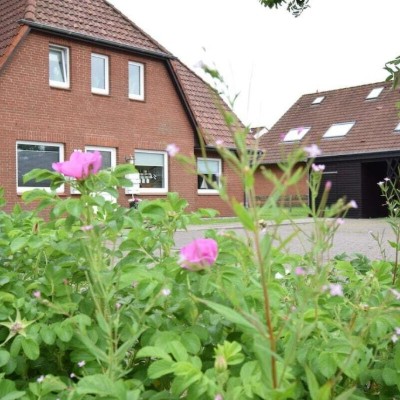 Billede 3