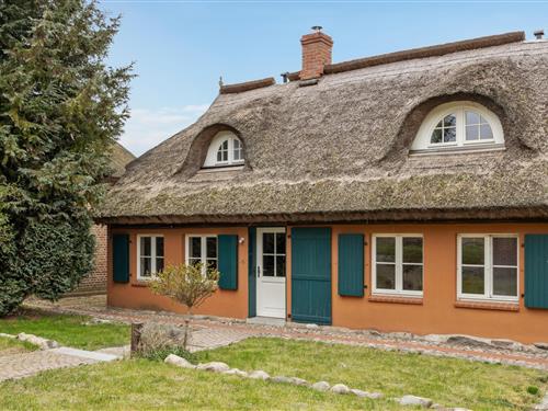 Ferielejlighed - 4 personer -  - Preetz - Rügen - 18586 - Lancken-Granitz
