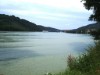 Billede 10