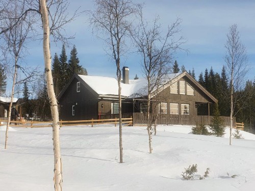 Ferienhaus - 13 Personen -  - Nystølvegen - 3560 - Hemsedal