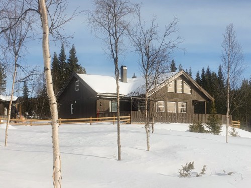 Ferienhaus - 13 Personen -  - Nystølvegen - 3560 - Hemsedal
