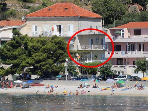 Feriehus / leilighet - 7 personer -  - Podgora - 21327 - Podgora