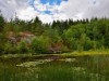Bild 18
