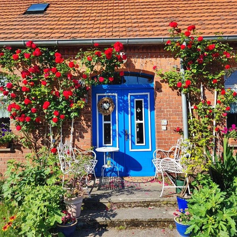 Bondegård - 5 personer -  - Uurt - 17209 - Wredenhagen
