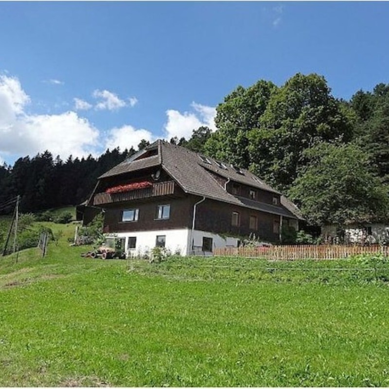 Sommerhus - 2 personer -  - 78144 - Schramberg