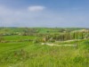 Bild 60 - Aussen