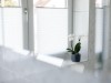Bild 42
