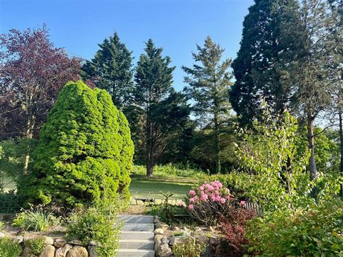 Ferielejlighed - 4 personer -  - Mariendorf - 18586 - Mönchgut