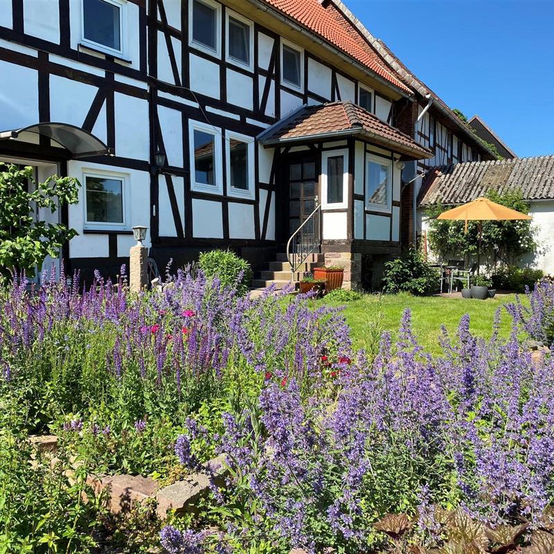 Ferielejlighed - 2 personer -  - Vor den Weingaerten - 37194 - Bodenfelde