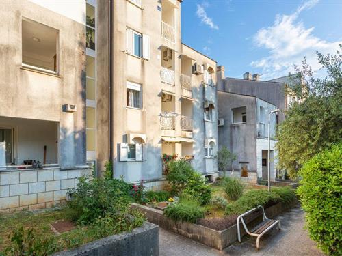 Ferielejlighed - 3 personer -  - Cvjetni trg - Krk-Njivice - 51512 - Njivice