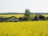 Bild 23
