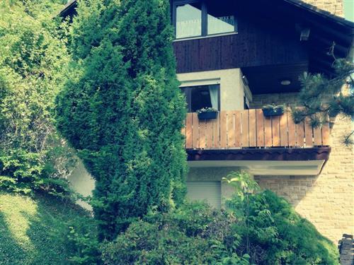 Ferielejlighed - 5 personer -  - Wochenendstrasse - 34549 - Edertal / Bringhausen